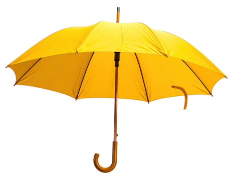 Yellow umbrella against a black background (1)