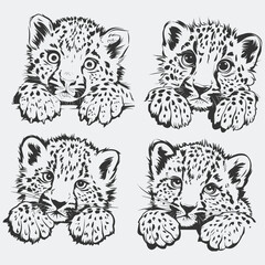 Leopard svg, baby Leopard svg, Peeking Leopard svg, Animal svg, Peeking Animal svg, Leopard Clipart, Leopard Cutfile