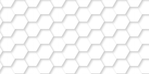 Naklejka premium Abstract pattern hexagonal white technology line paper background. Hexagonal grid tile mosaic structure mess cell design. white and gray hexagon honeycomb football geometric copy space business text 