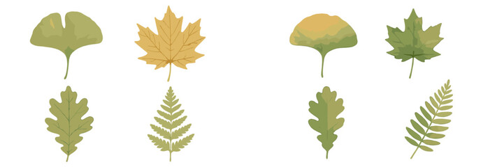 Different types of leaves arranged on a white background, showcasing various colors and shapes during autumn season