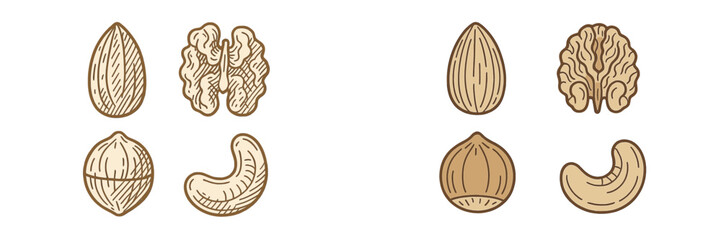 Various nuts including almonds, walnuts, hazelnuts, and cashews in a simple and elegant sketch style