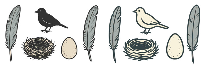 Birds, feathers, nests, and eggs illustrated in a charming urban nature scene