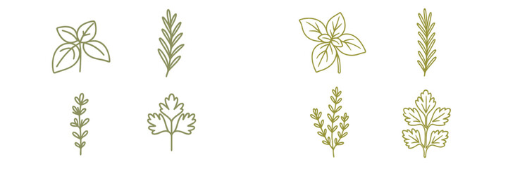Herb illustrations showcasing various green plants in a simple, clean design suitable for kitchen decor or culinary use