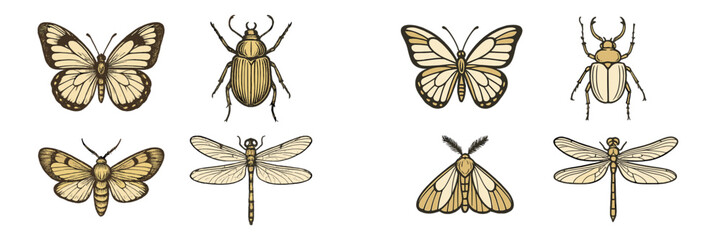 Insect illustrations showing various butterflies, dragonflies, and beetles in a detailed natural design