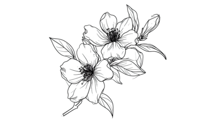 Elegant black and white floral design