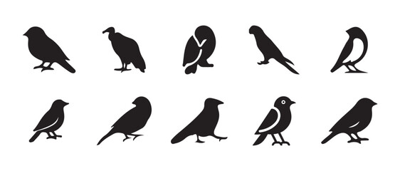 Silhouette set of various bird, flying birds, detailed bird shapes, black and white, vector graphics, silhouette set flying and standing birds vector icon, vector illustration EPS 10.