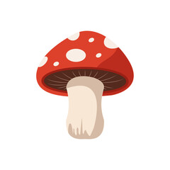 Cartoon fly agaric mushroom, red amanita muscaria. Poisonous fall or autumn forest mushroom. Hand drawn vector illustration isolated on white background.