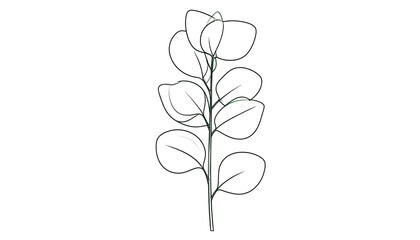 Simple white outline of eucalyptus leaves on a dark background