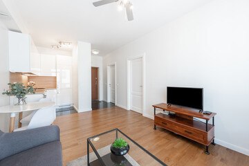 Modern Minimalist Home Living Room Space with Kitchen and Comfortable Lounge Area