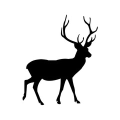 A clean, bold silhouette of a deer in profile view.