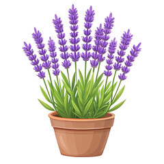 Fototapeta premium A vibrant illustration of lavender plants blooming in a terracotta pot