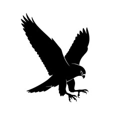 Obraz premium Silhouette of a hawk in flight with wings spread