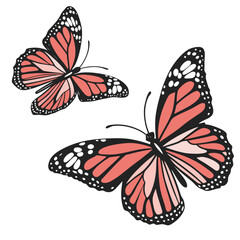 A colorful monarch butterfly with orange and black wings flies among spring flowers in a garden