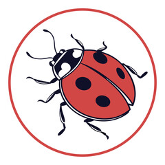 Obraz premium A small red and black ladybug, a charming insect, is illustrated as a cute cartoon beetle isolated on a white background