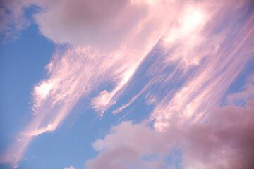 Pink Cotton Candy Clouds Floating In Turquoise Sky