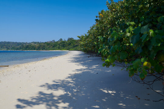 Holiday beach on Andamans, India