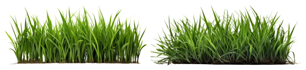 PNG Lush green grass patches, element set on transparent background