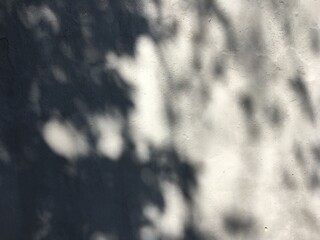 Shadows of tree leaves and branches on a grey wall.