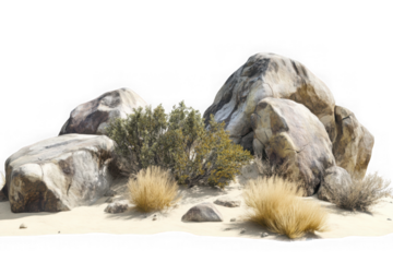 Large light gray boulders with dry yellow grass and green bushes on sand rock stone