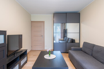 Modern Home Living Room With Sofa, Furniture and Wardrobe in Background