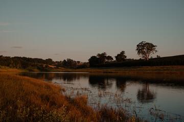 Scenic Golden Hour Lake with Trees at Sunset
