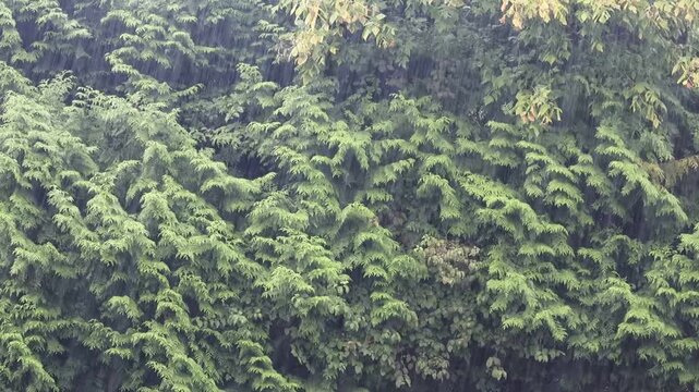 Lluvia en Cantabria 