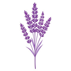Naklejka premium A simple illustration of purple lavender blooms on a dark background