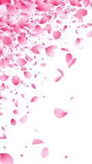 Pink flower petals cascading