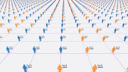 Online user identification, communication, connection, cloud network, internet. System, computer network, control, user access, authorization. 3D animation - Powered by Adobe