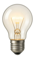 Light bulb on a white background.