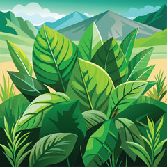 Obraz premium Lush Green Tropical Foliage Mountain View Nature Scene lush green