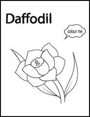 coloring pages, color page, flower, vector, floral, nature, leaf, plant, illustration, spring, art, design, drawing, flowers, decoration, summer, blossom, pattern, bouquet, garden, beauty, branch, pet