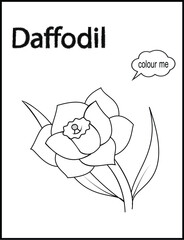 coloring pages, color page, flower, vector, floral, nature, leaf, plant, illustration, spring, art, design, drawing, flowers, decoration, summer, blossom, pattern, bouquet, garden, beauty, branch, pet