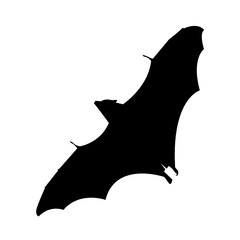 A clean, bold silhouette of a fox, perfect for graphic design or educational resources.