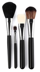 Makeup brushes, various sizes and shapes
