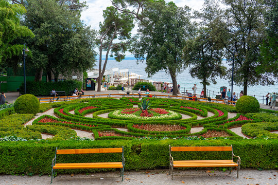 angiolina park plants and flowers beautiful setting gardening