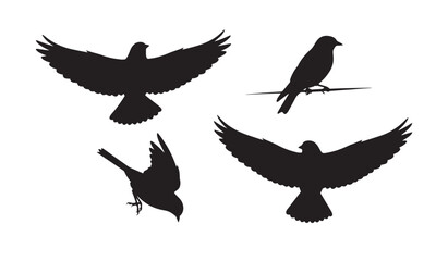 Bird Silhouette Vector Set