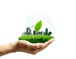 Firefly_palm tree on transparent background. Floral background. png - Firefly_-Eco-Care- Hand holding green grass and cityscape, symbolizing environment preservati (5)