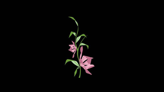 Flower Romantic Animation Element 01
