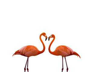 Firefly_Colorful playground structure with dual slides - Firefly_Elegant flamingos showcasing affection in a vibrant pose  (4)