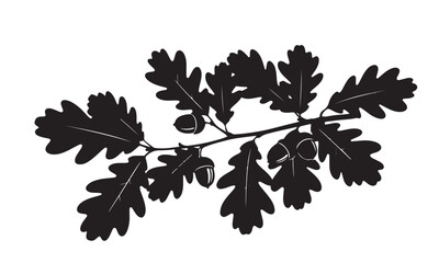 Silhouette of Oak Branch with Leaves and Acorns