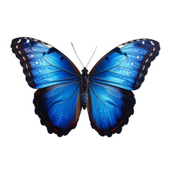 Obraz premium Beautiful blue butterfly in full body close-up portrait, flying with grace. Generative AI.