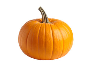 Obraz premium A vibrant orange pumpkin with a textured and a curved stem, perfect for autumn decorations and harvest themes.