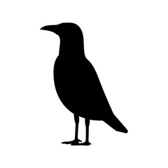 Silhouette of a standing bird, possibly a seagull or similar bird