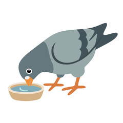 Pigeon Drinking Water From Bowl Clipart Image