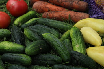 Fresh organic cucumbers, tomatoes, carrots and peppers from garden harvest. Vibrant homegrown vegetables with natural soil texture on grass background