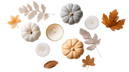 Halloween pumpkins and candles on transparent background