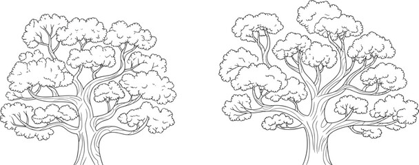Hand drawn tree illustration, black and white botanical sketch, forest foliage, nature art, vintage tree drawing, vector landscape design © Ashik Creatives