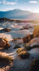 sunrise over the river