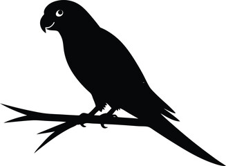  parrot on branch vector, bird silhouette illustration  